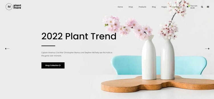 Plantmore is an amazing shopify theme