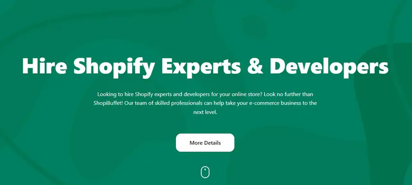 Hire Shopify Expert And Developer