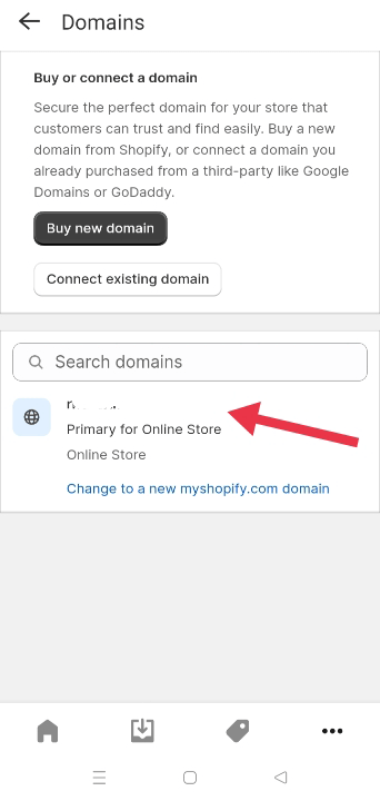 Primary store domain
