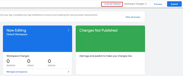 Copy the GTM Container ID