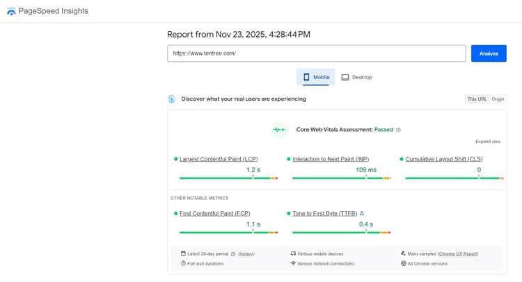 Shopify Store Speed Check